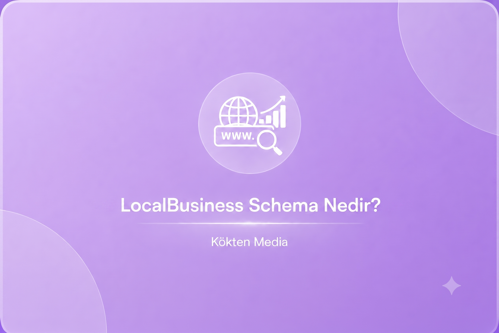 Local Business Schema Nedir?